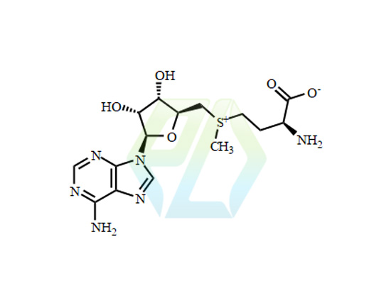 S-Adenosyl-L-Methionine