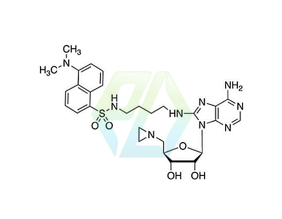 8-Amino[1”-(N”-dansyl)-4”-aminobutyl]-5’-(1-aziridinyl)-5’-deoxy Adenosine