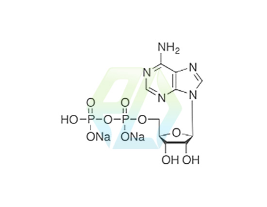 Adenosine 5'-Diphosphate Disodium Salt