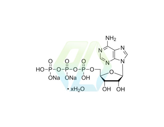 Adenosine 5’-Triphosphate Disodium Salt Hydrate