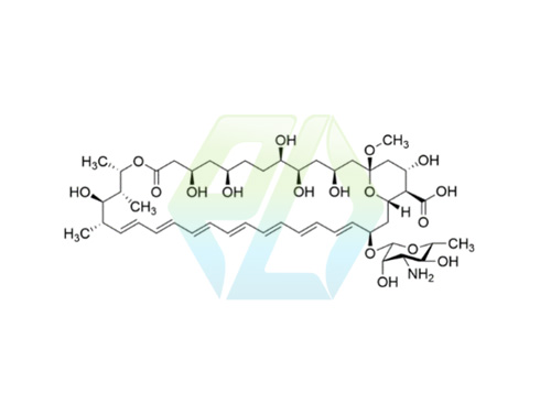 13-O-Methylamphotericin B