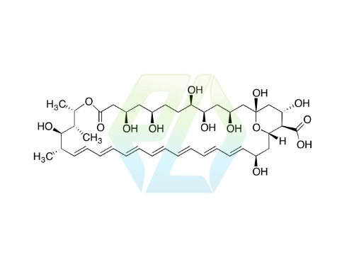 Amphoteronolide B