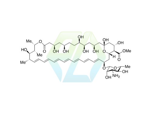 Amphotericin B Methyl Ester 