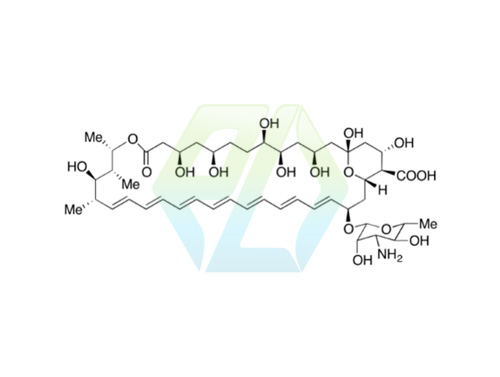 Amphotericin B